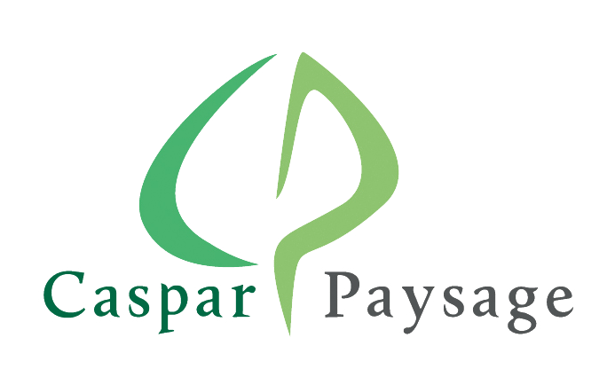 CASPAR PAYSAGE