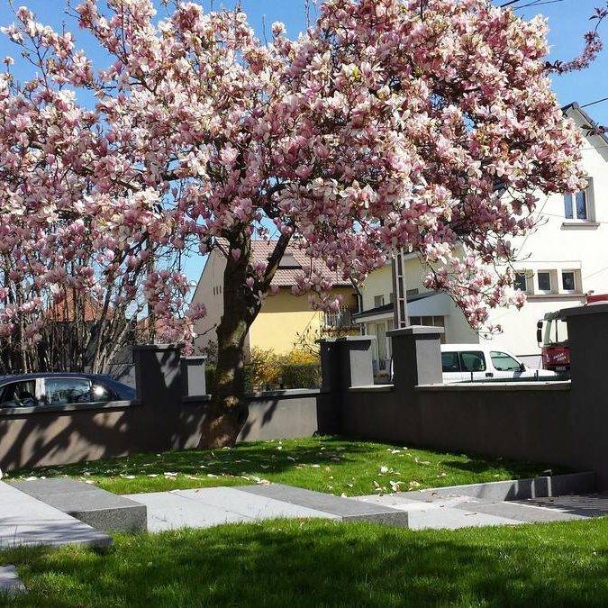 Aménagement d&#8217;entrée Gérardmer 1