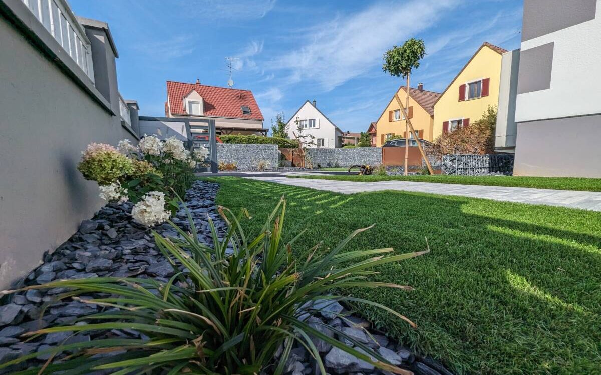 Comment cr&eacute;er une zone d&rsquo;ombre naturelle dans son jardin ? Riedisheim