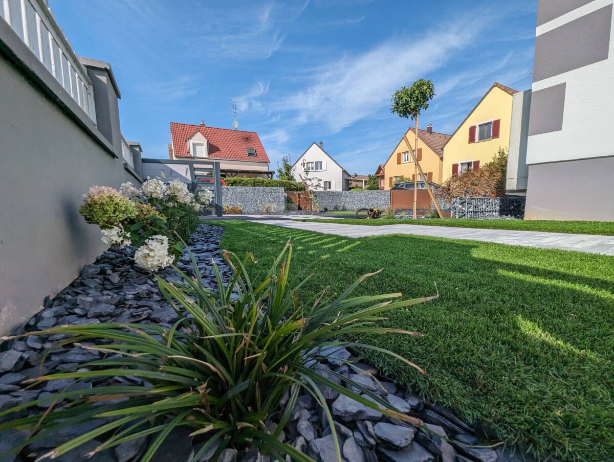 Comment cr&eacute;er une zone d&rsquo;ombre naturelle dans son jardin ? Riedisheim